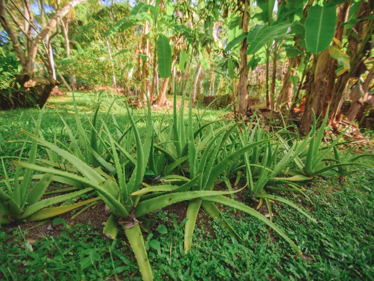 Thalpe Walawwa Heritage Villa Unawatuna Eksteriør bilde